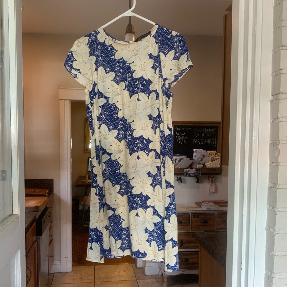 Cute Zara day dress!